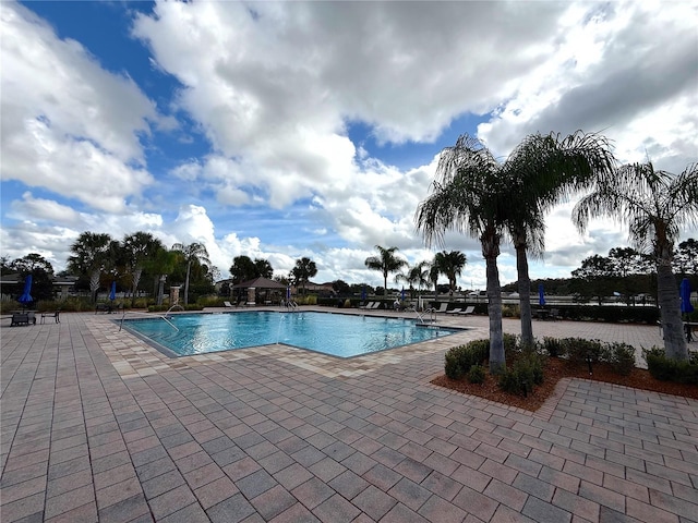 view of swimming pool with a patio area