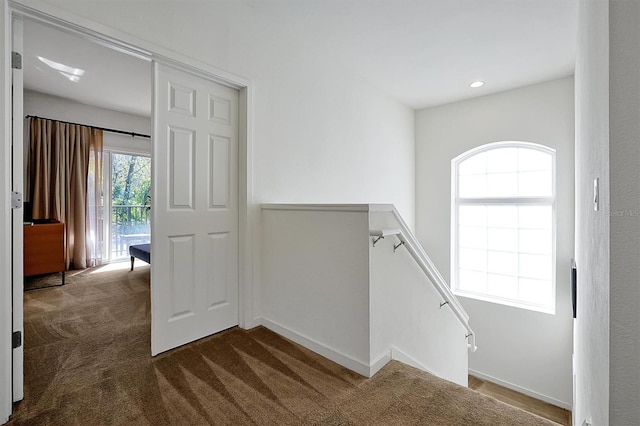 staircase featuring carpet flooring