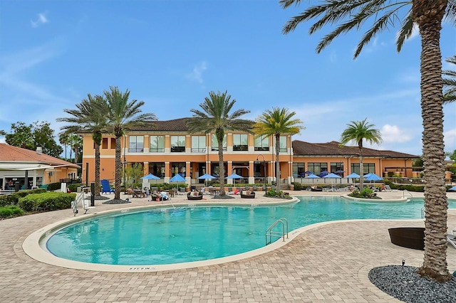 view of swimming pool with a patio