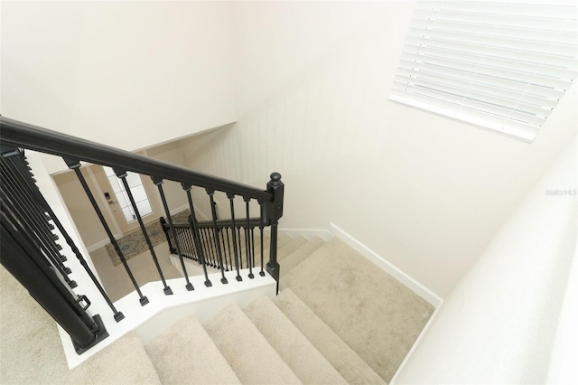 staircase with carpet floors