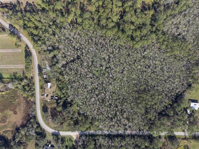 0 Florida Boys Ranch Rd, Clermont, FL 34711