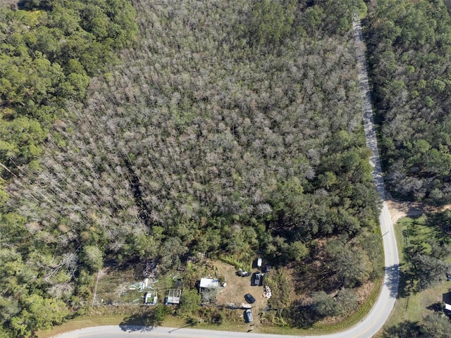 0 Florida Boys Ranch Rd, Clermont, FL 34711