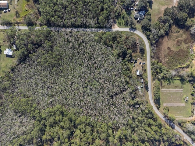 0 Florida Boys Ranch Rd, Clermont, FL 34711
