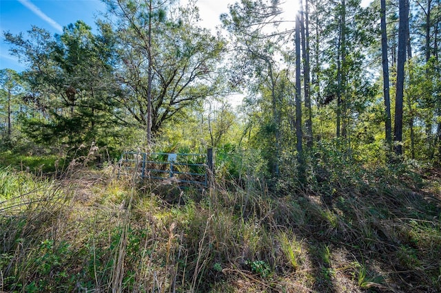 0 Florida Boys Ranch Rd, Clermont, FL 34711