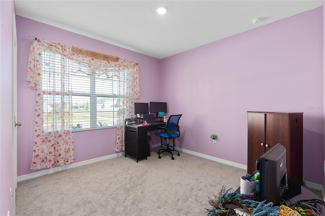 office with light colored carpet