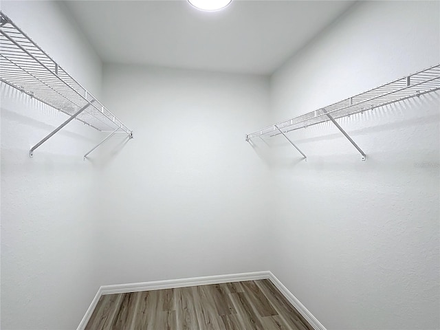 spacious closet with wood-type flooring