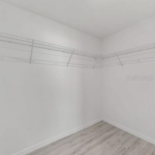 walk in closet featuring light hardwood / wood-style flooring