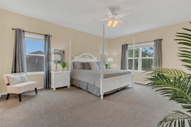 bedroom with multiple windows, ceiling fan, and carpet