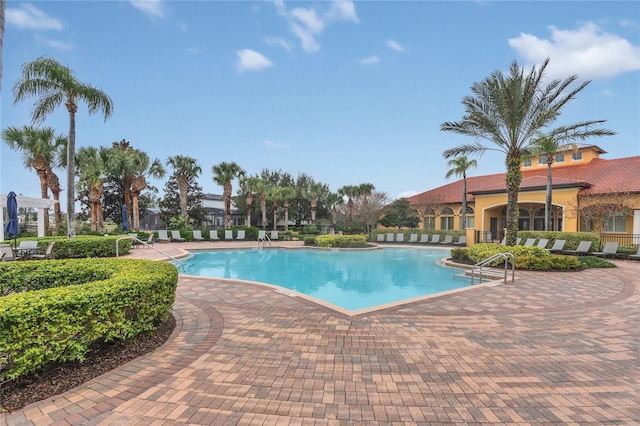 view of swimming pool featuring a patio