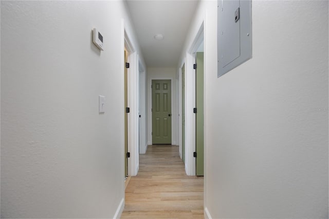 hall featuring electric panel and light hardwood / wood-style flooring