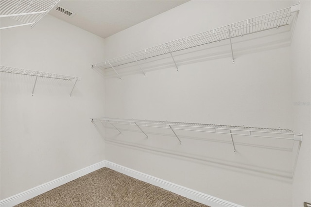 spacious closet with carpet floors