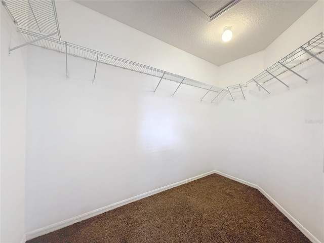 spacious closet with carpet floors