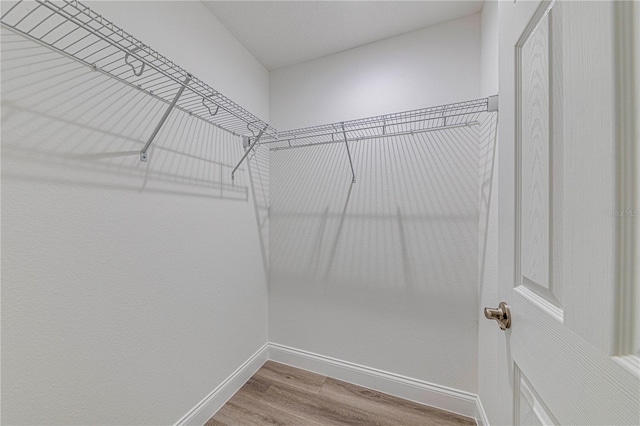 walk in closet with wood-type flooring