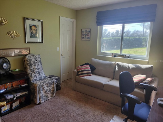 carpeted living room featuring a textured ceiling