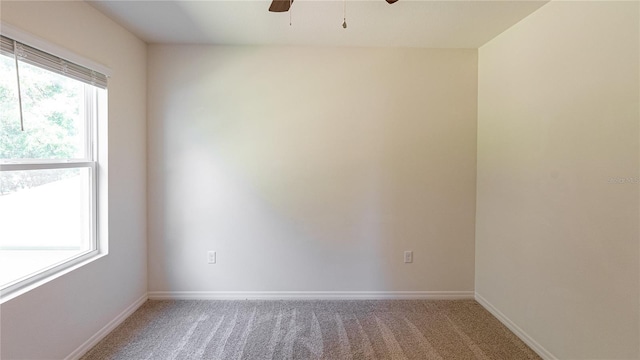 spare room featuring ceiling fan and carpet