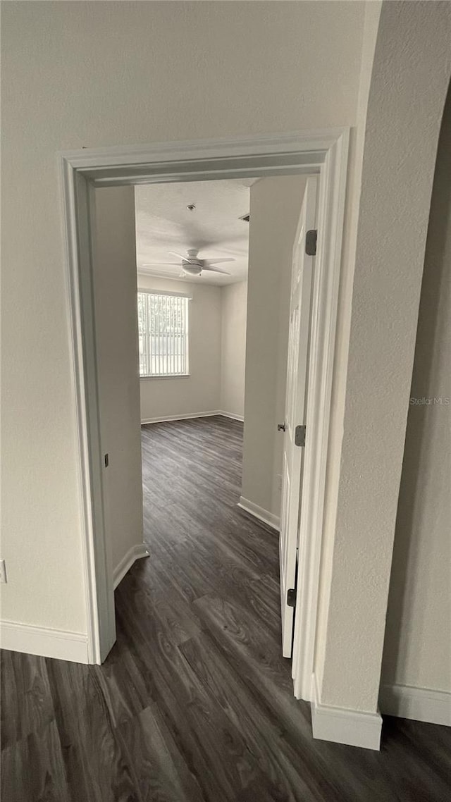 hallway with dark wood-type flooring