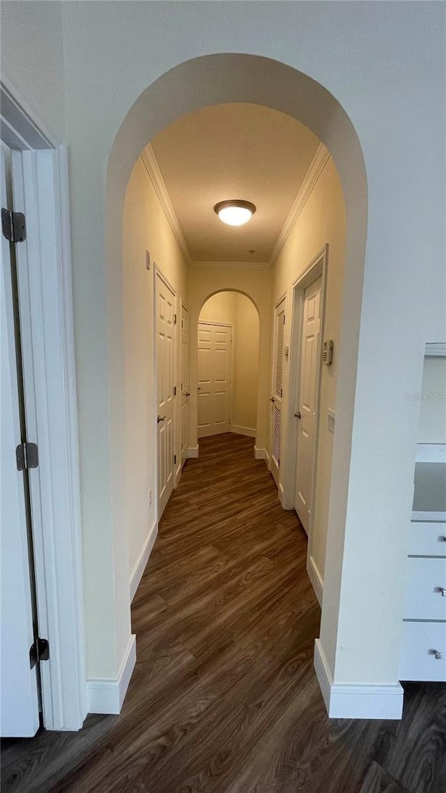 hallway featuring dark hardwood / wood-style floors and ornamental molding