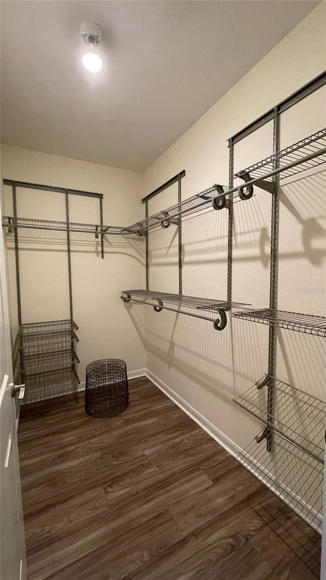 spacious closet featuring dark hardwood / wood-style floors