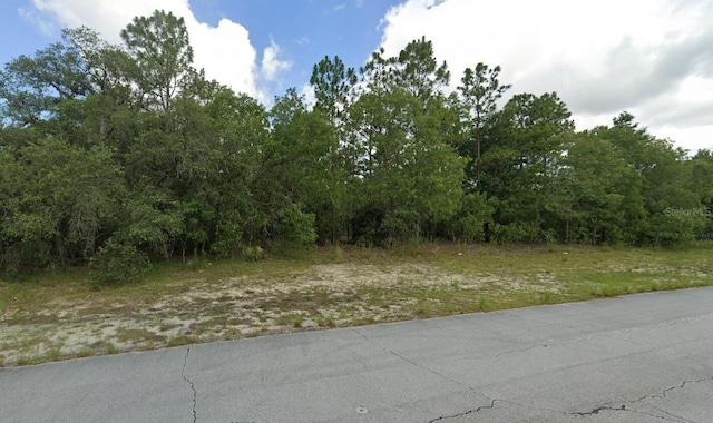 SW 89th Ct, Ocala FL, 34473 land for sale