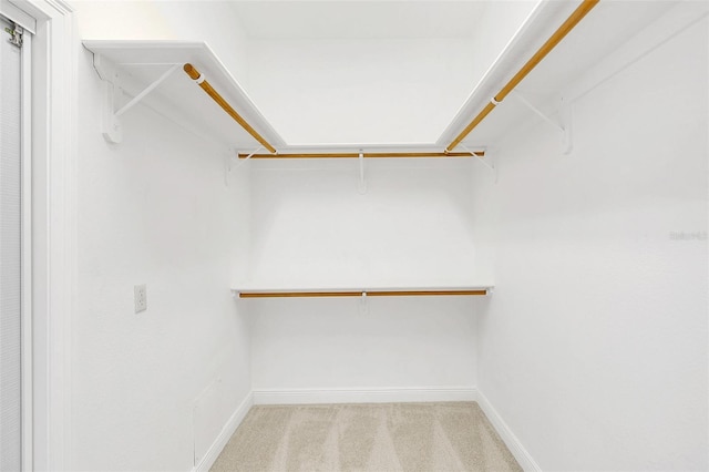 walk in closet with light carpet