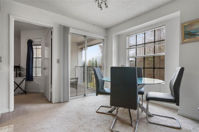 carpeted dining room with a textured ceiling