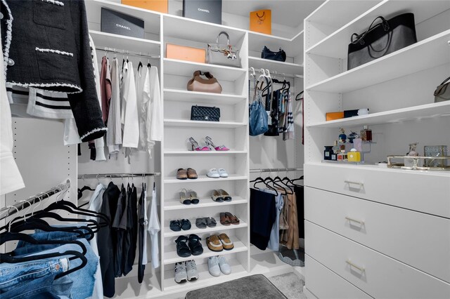 4360 Sunset Preserve Blvd, Orlando, FL 32820 - view of spacious closet