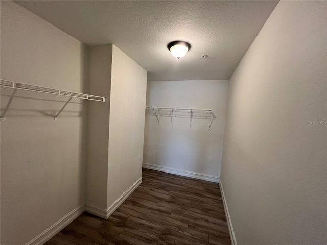 spacious closet featuring dark hardwood / wood-style flooring