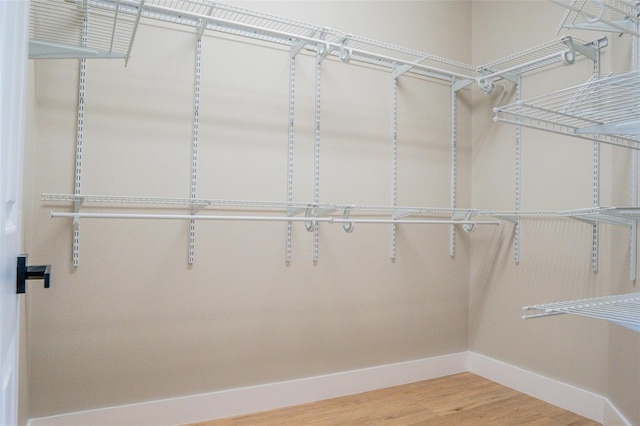 spacious closet featuring wood-type flooring