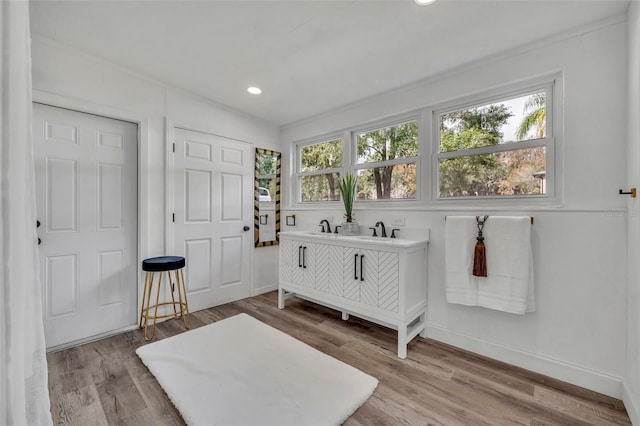 bathroom featuring wood-type flooring and a healthy amount of sunlight