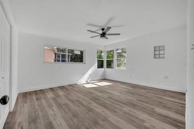 spare room featuring hardwood / wood-style floors and ceiling fan