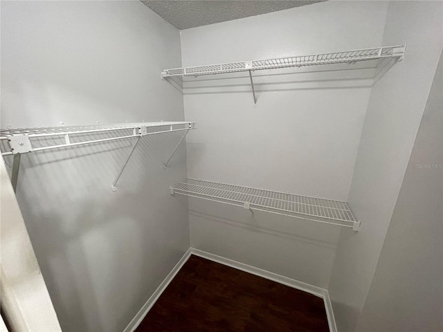 spacious closet featuring wood finished floors