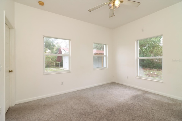 unfurnished room featuring ceiling fan and carpet