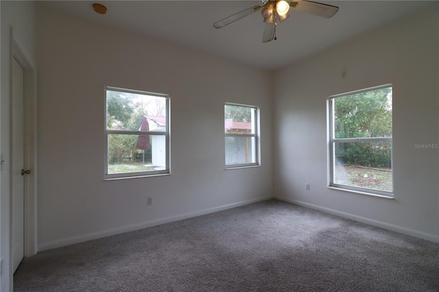 unfurnished room featuring ceiling fan and carpet