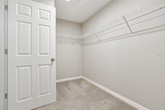 spacious closet featuring light carpet