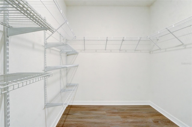 spacious closet featuring hardwood / wood-style floors