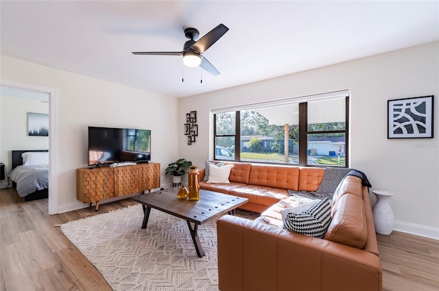 living room with ceiling fan and light hardwood / wood-style flooring