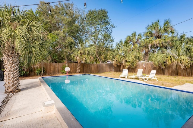 view of swimming pool