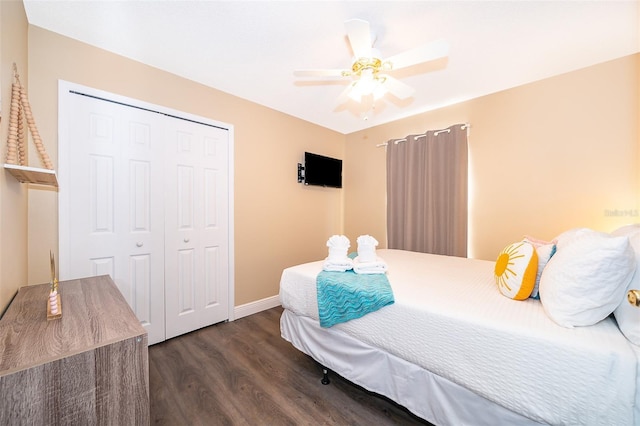 bedroom with dark hardwood / wood-style flooring, ceiling fan, and a closet