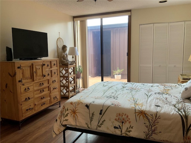 bedroom with dark wood-style flooring, floor to ceiling windows, a closet, a textured ceiling, and access to outside