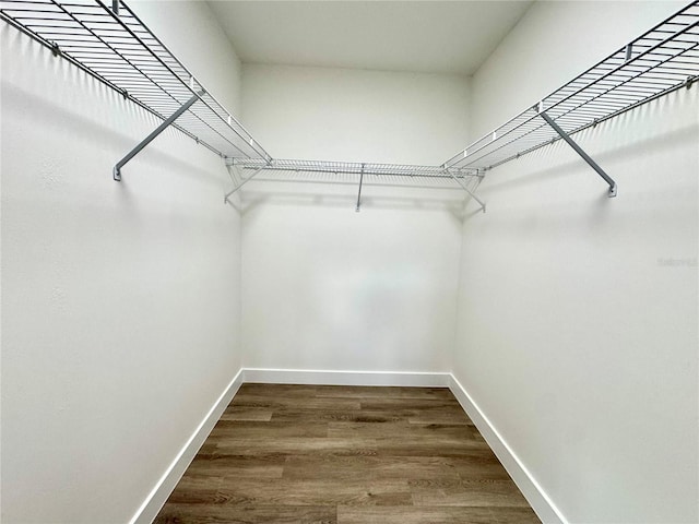 walk in closet with hardwood / wood-style flooring