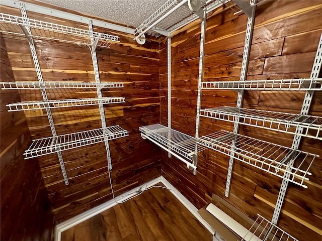 spacious closet with wood-type flooring