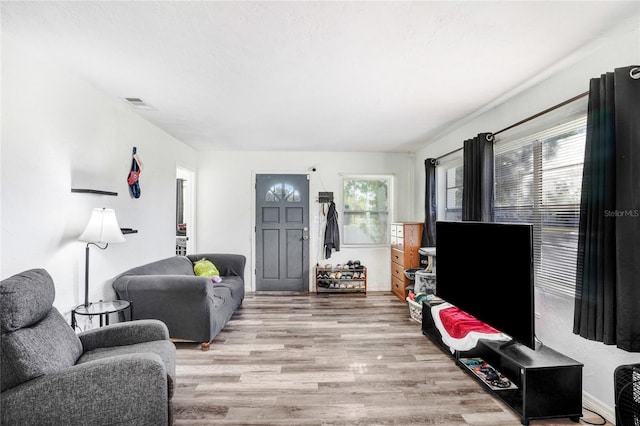 living room with light hardwood / wood-style floors and a healthy amount of sunlight