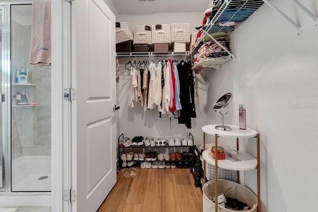 spacious closet featuring wood-type flooring