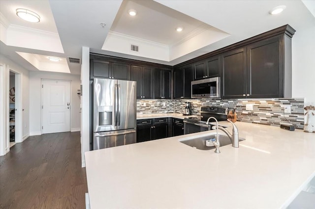 kitchen with tasteful backsplash, a raised ceiling, sink, dark wood-type flooring, and stainless steel appliances