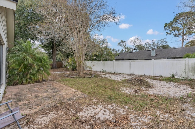 view of yard with a patio area