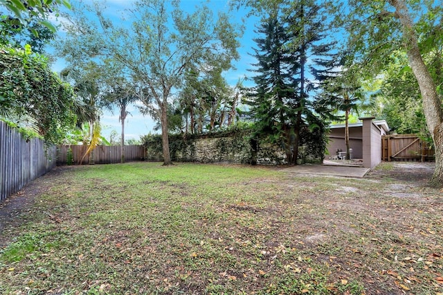 view of yard with a patio area