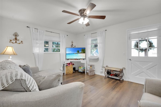 living room with ceiling fan and wood-type flooring