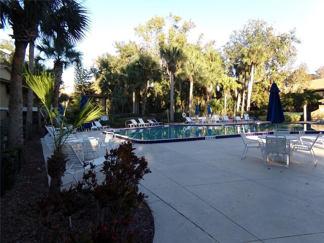 view of pool featuring a patio