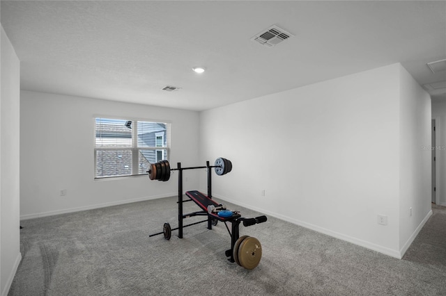 workout area featuring carpet floors