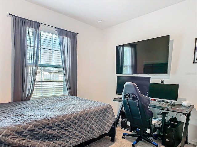 bedroom featuring multiple windows